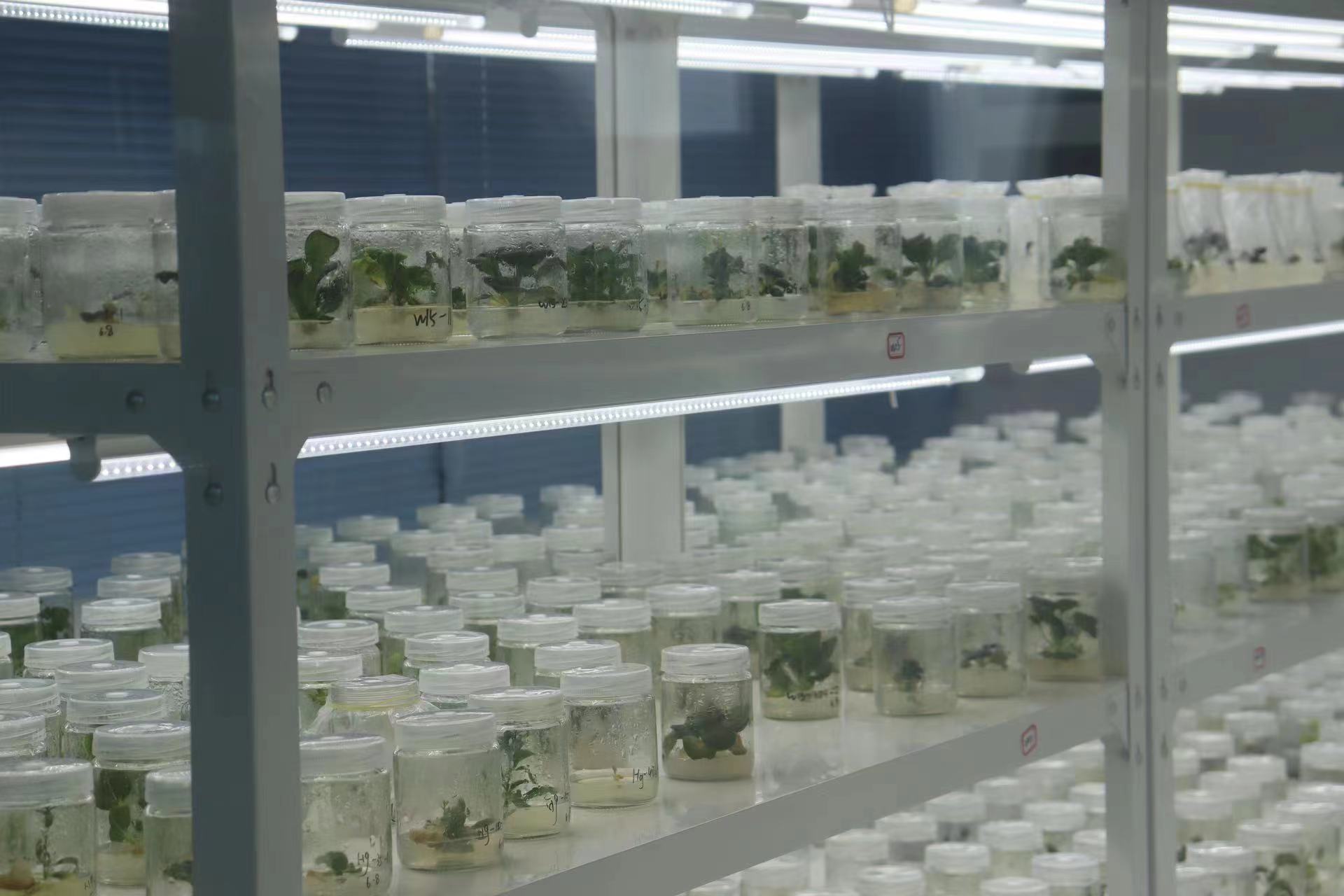 ���ж���֪֮��