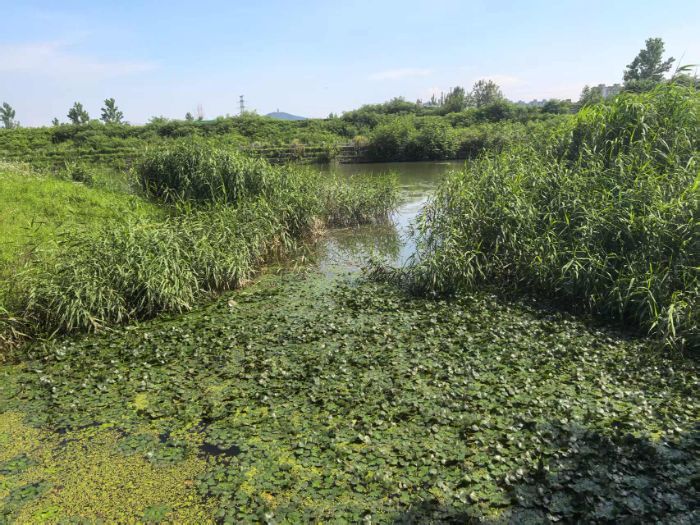 ����ѧ��������ʵ�������ջ��ػ�����ˮ�򣬹�����̬��԰