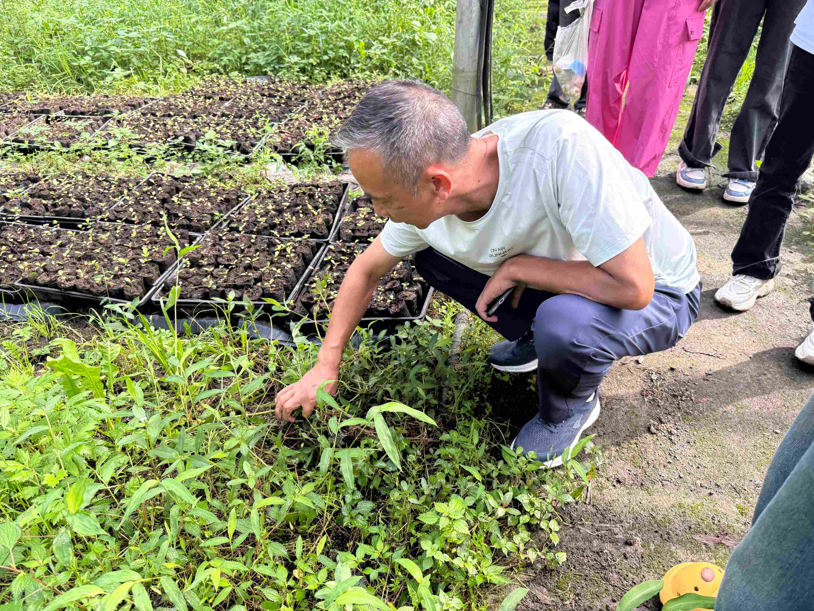 �������Ի���һ�ߣ�̽Ѱ��ҵ������·��