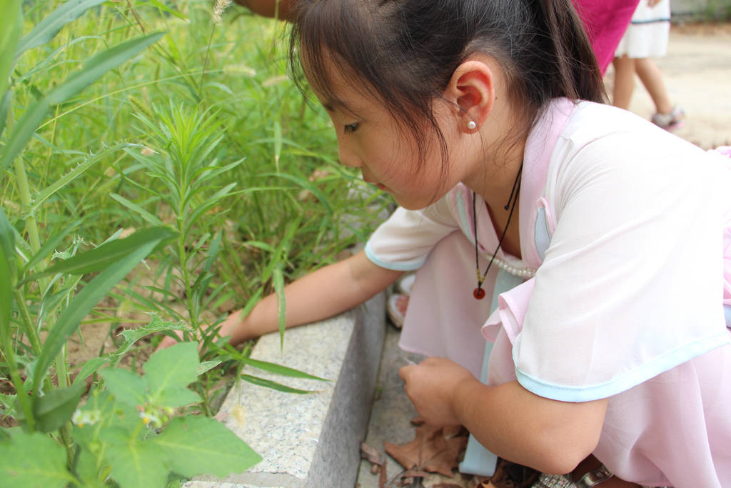 ���������ض�һӪС�ӡ����֮�ǡ�һ���Σ�