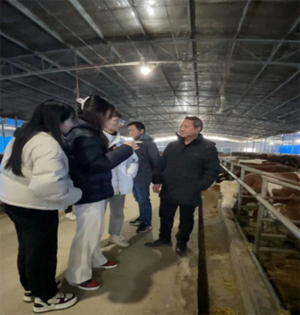 “鑫芽”团队助力乡村振兴，探索桂林牛肉育种行业新路径