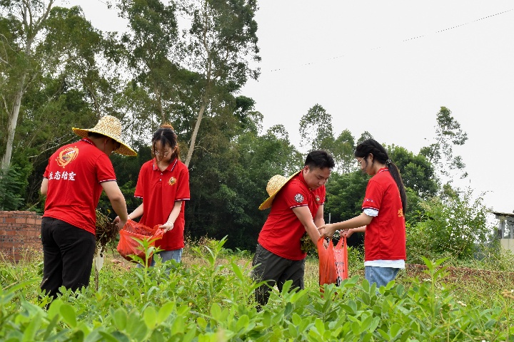 ����΢�⡤�̶�����|���ʽ���ѧԺ��ǧ��ͻ��������������չ�ո��ۺ����õ�������ɫũҵ����