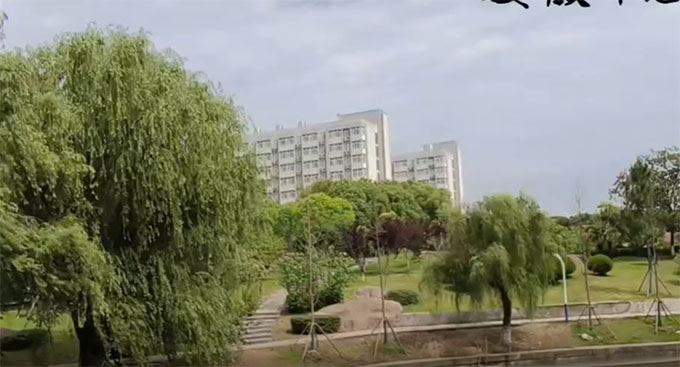 ʦѧ㲻ɢ