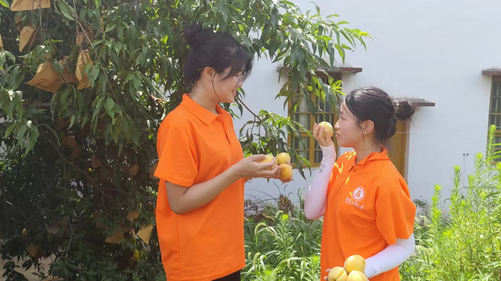 ���Ϲ��̴�ѧ�����Ͻ�޴�š�����������ˣ����������޴��������������