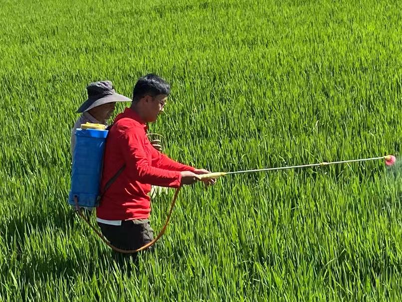 ����ͷ��ũҩ����ũ��ũ�Ե���