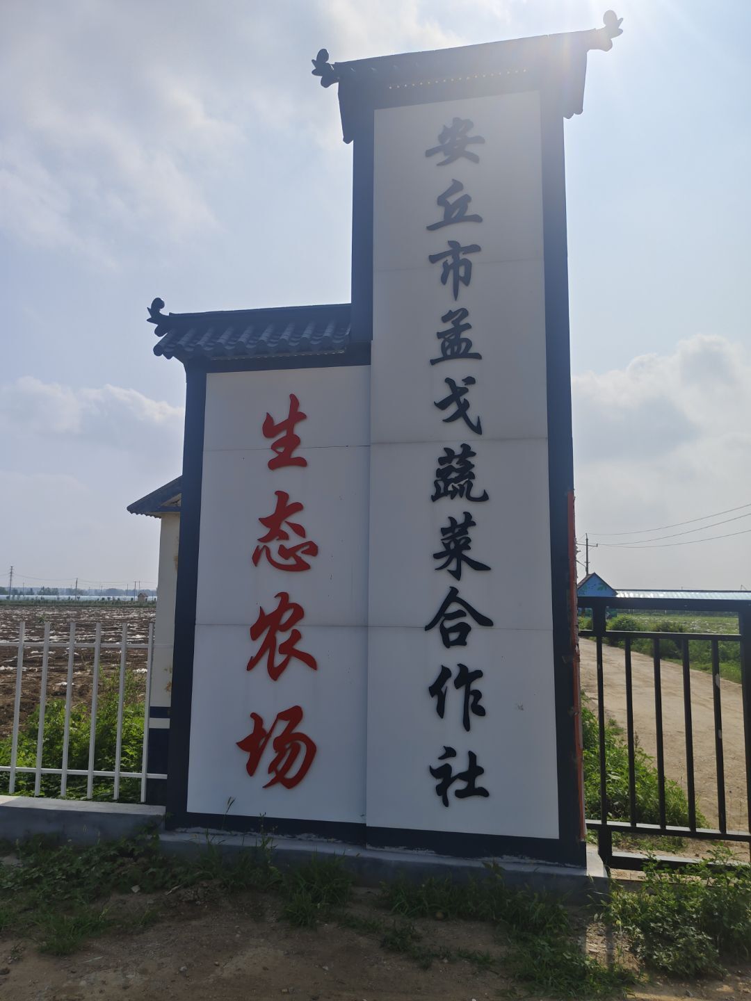 ҩʳͬԴ�����У��ഺ���������