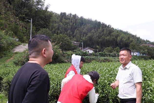 图为村长李德清带领实践团成员参观茶园基地