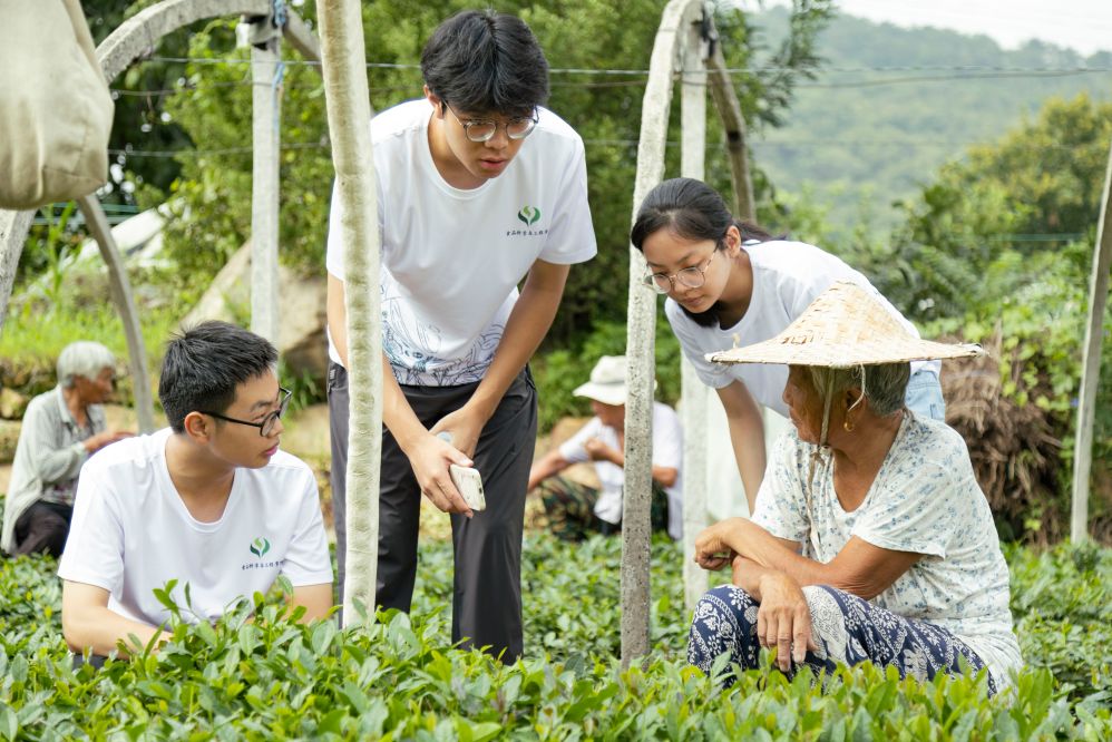 нڲ賧ҵ