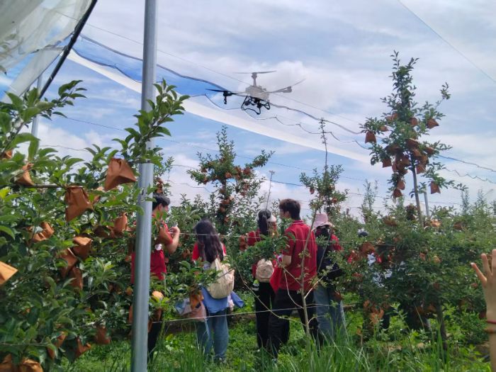 �����໪ѧԺ�����ƻ�ȷ�ӵ��ж�����ƻ����ժ��е����