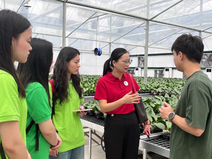 ��������̽�ںϣ�����̨��԰����֡��߿�������������