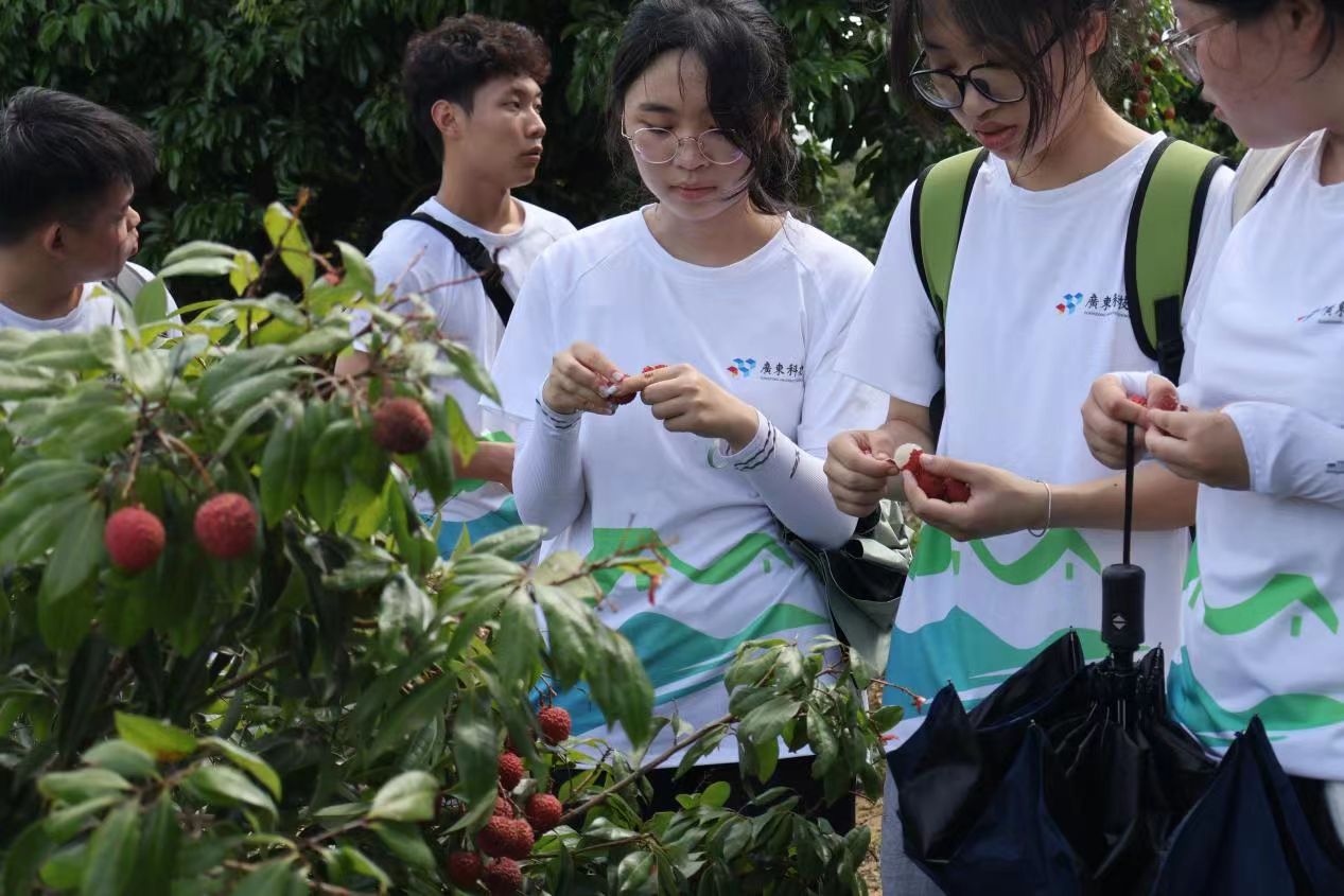 �㶫�Ƽ�ѧԺ��½������ũ�Ĵ��������ͻ����|��Ұ�չ���˶�����ഺ��������ƪ