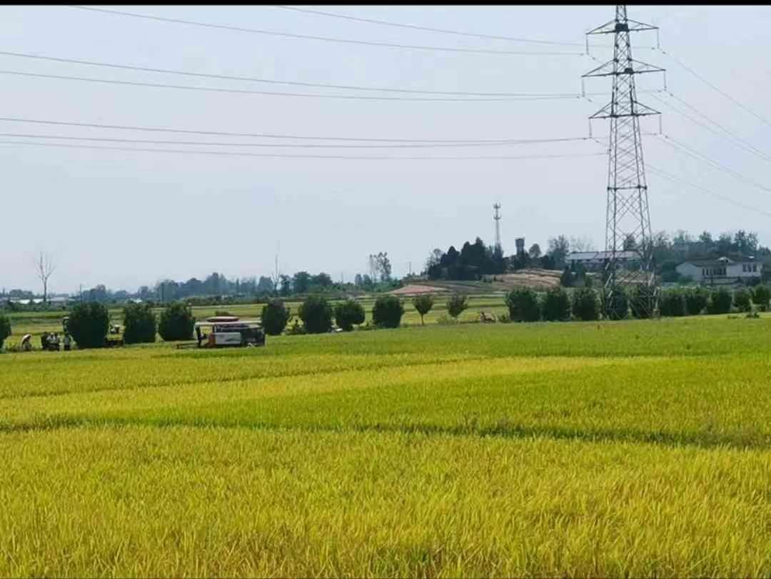 ũںϣ캽  