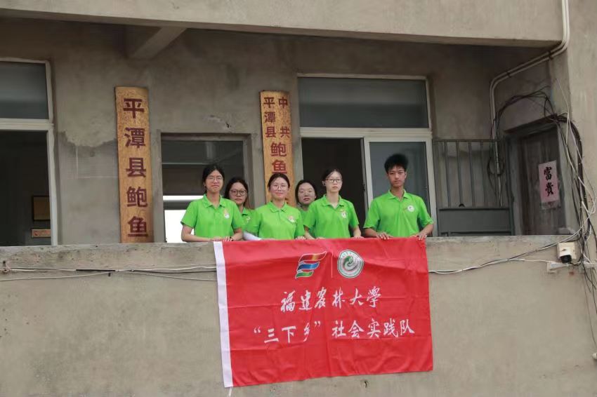 ʵ泡ǻ