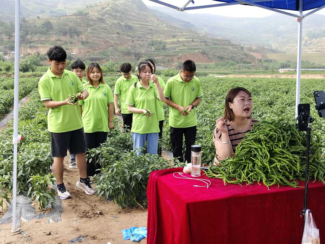 图5-实践团成员参与基地直播并帮助辣椒种植基地直播带货