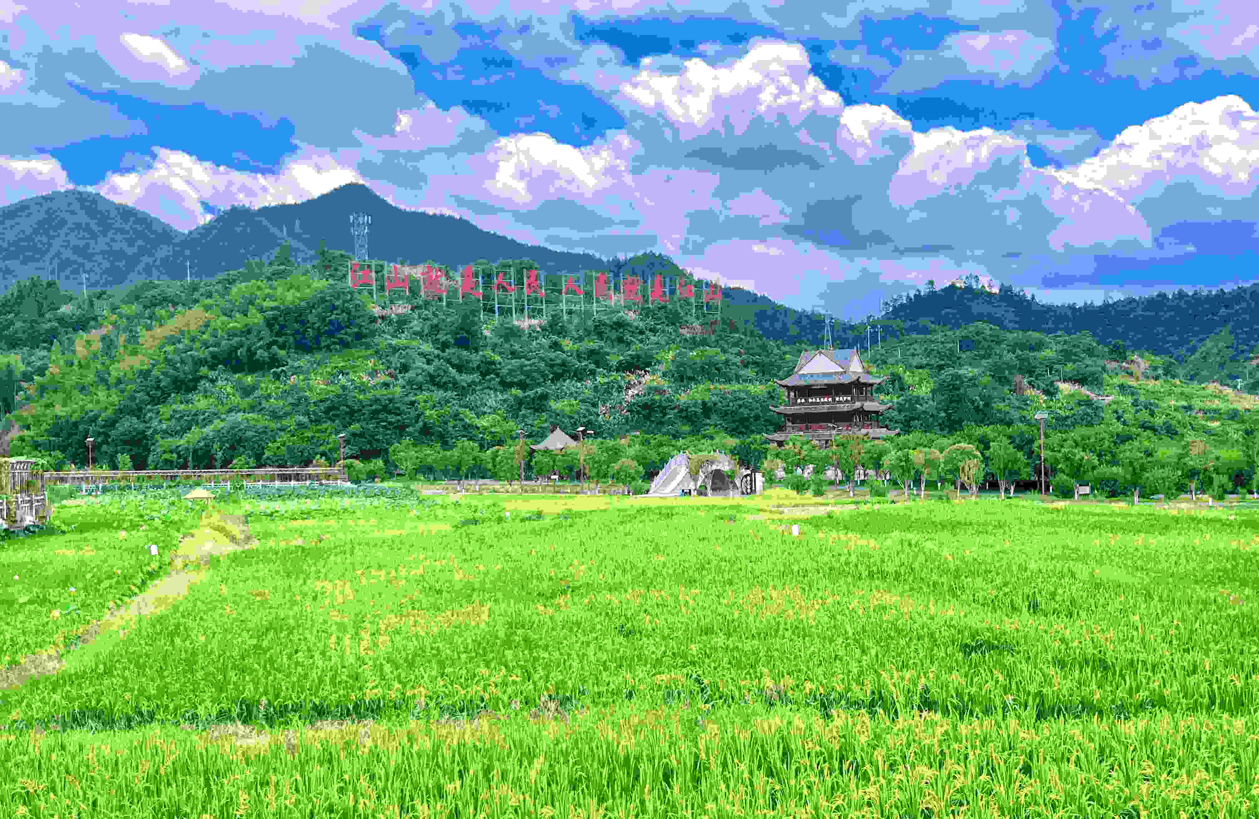 ӳģִѧ  ҵƼѧɳ޴忪չרҵʵ