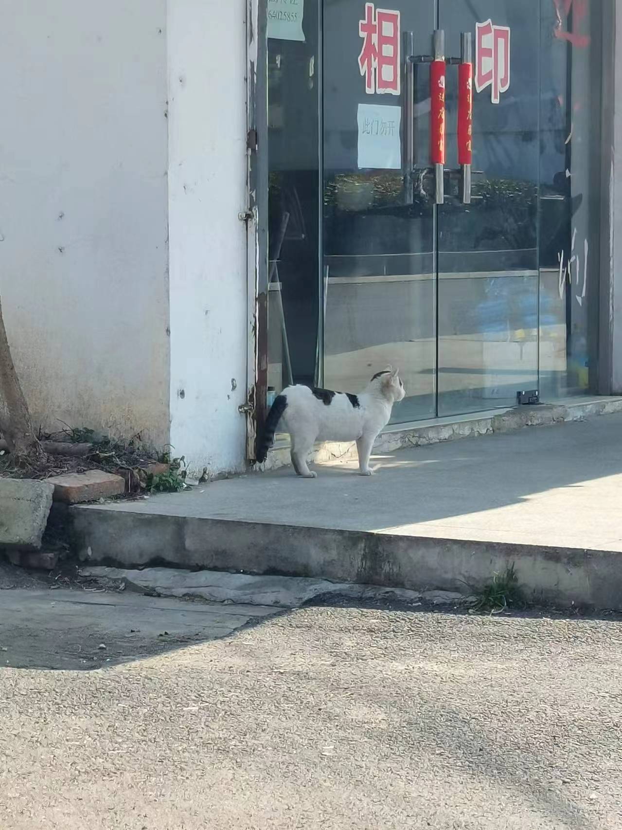 ذ˶