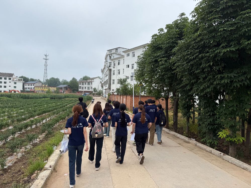 ̤��������İ��������������