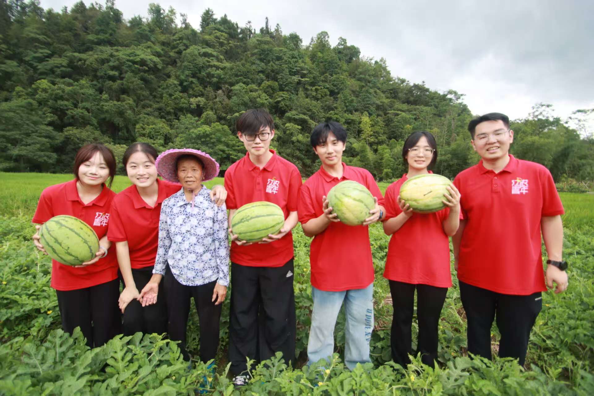 ������������ƪ���ഺ�������ͼ