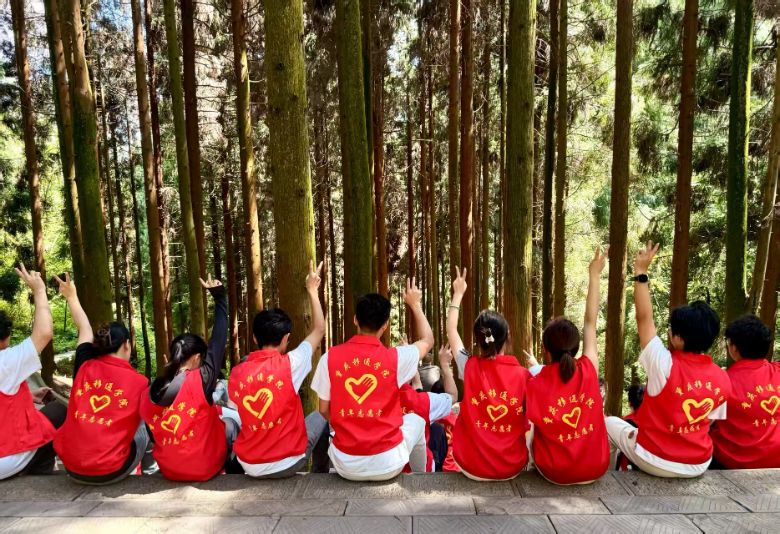 (图11)