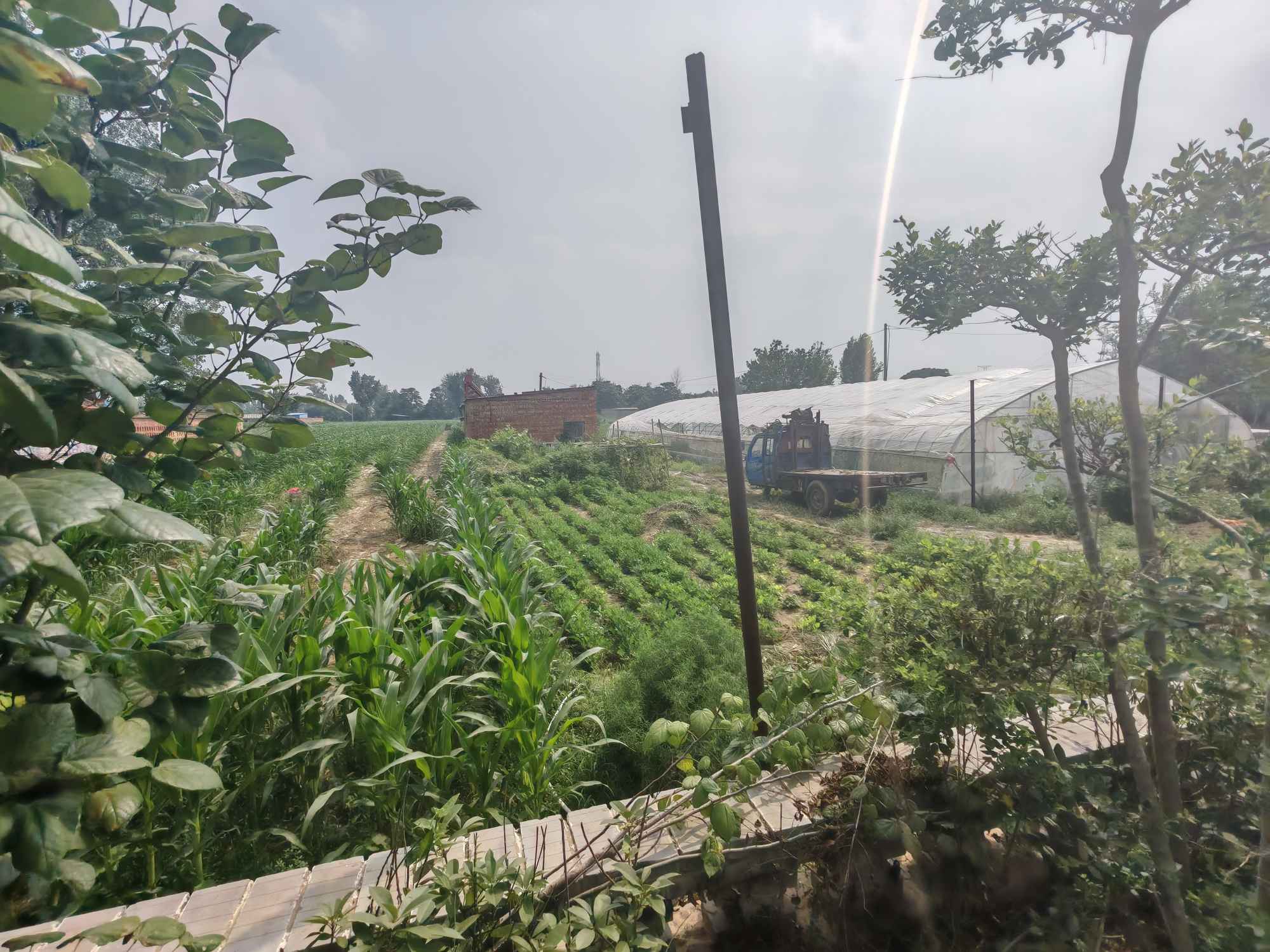 �����������֮�У���ʦ־Ը����ʷ�̡�����һ�ˡ���ҵ��չ