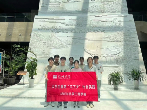 ����ѧԺ���������в����ʵ��С�ֶ�