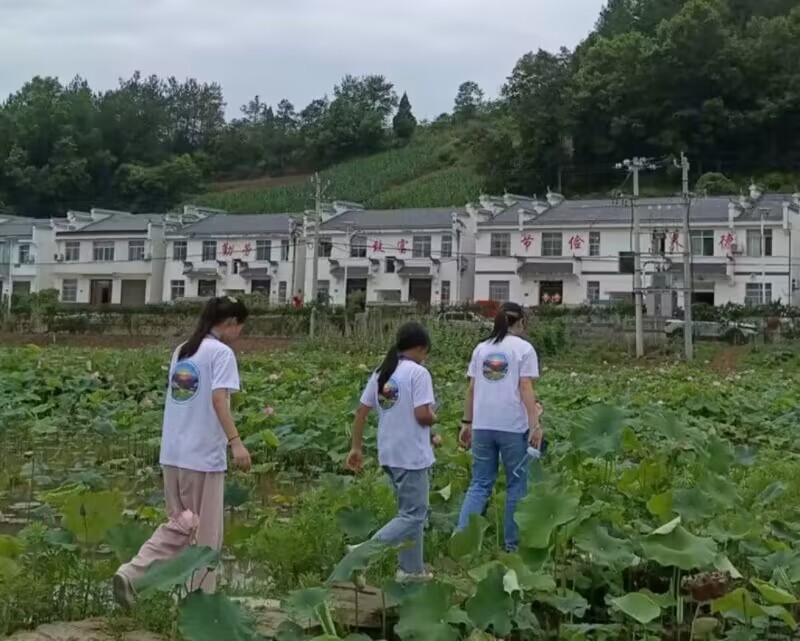 ̽ļ䣬