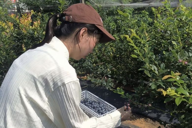 ����ʦ����ѧѧ�ӹ������У�־Ը������ݮ��չ