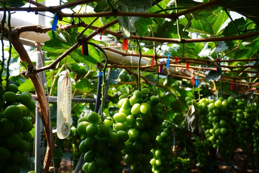 �ഺ����һ���У���������������