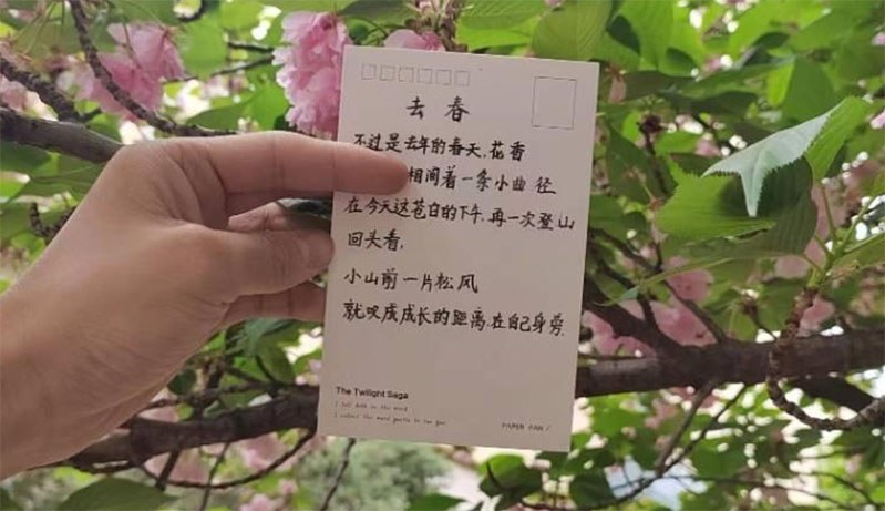 У¶ᡱٰ˼ġġִʫ贴