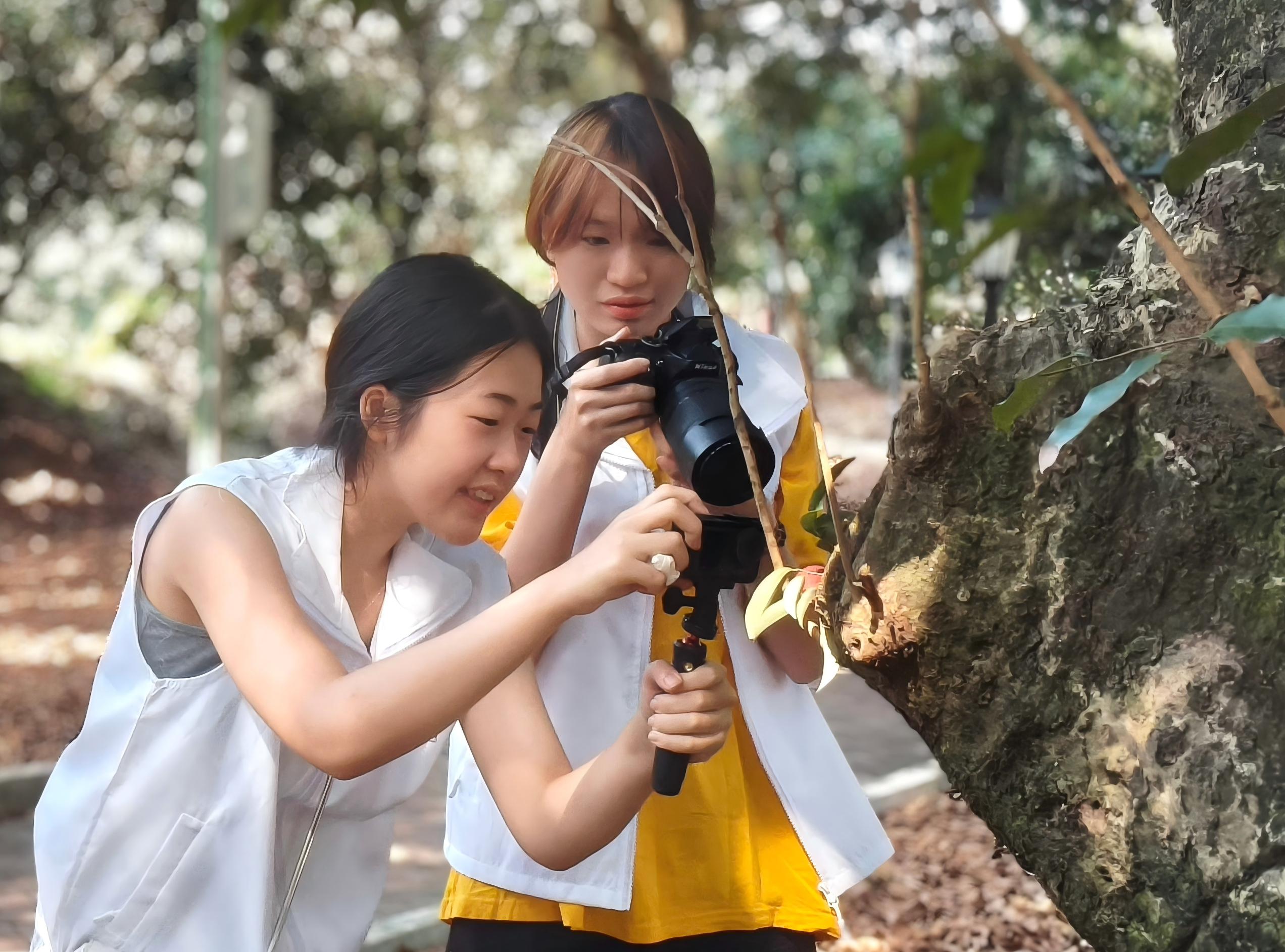 �㶫�ƾ���ѧ�����ո�ʵ���Ż���֮�У������Ļ����ҵ�½���