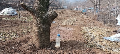 ͼΪԱũζϺļװ
