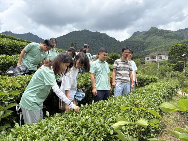 ��ѧ�Ӳι���ƽ��ȵ������԰