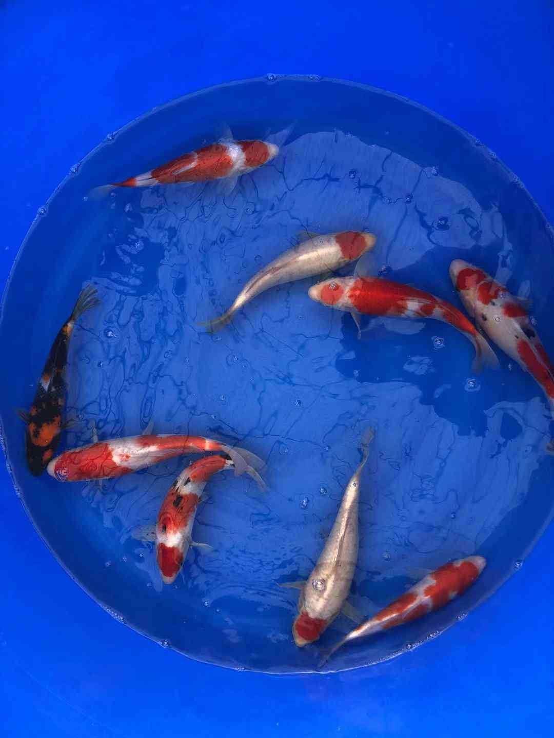 ҵ壬÷չ