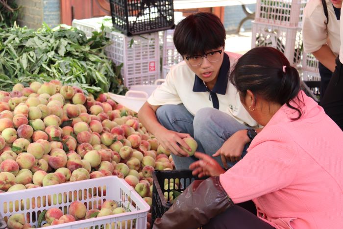 ���������ݣ�������ѧ�ഺʵ��������