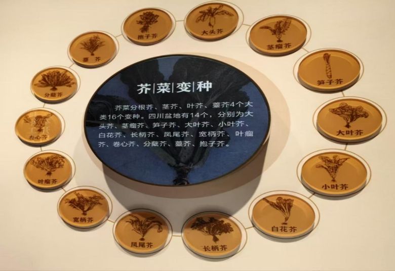 �������ĿƼ�ѧԺ������̽�ʡ��Ŷ�̽�ظ���ե�˲���� ���������ҵ���ĿƼ��ں�֮��