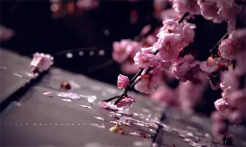 ˮϵ