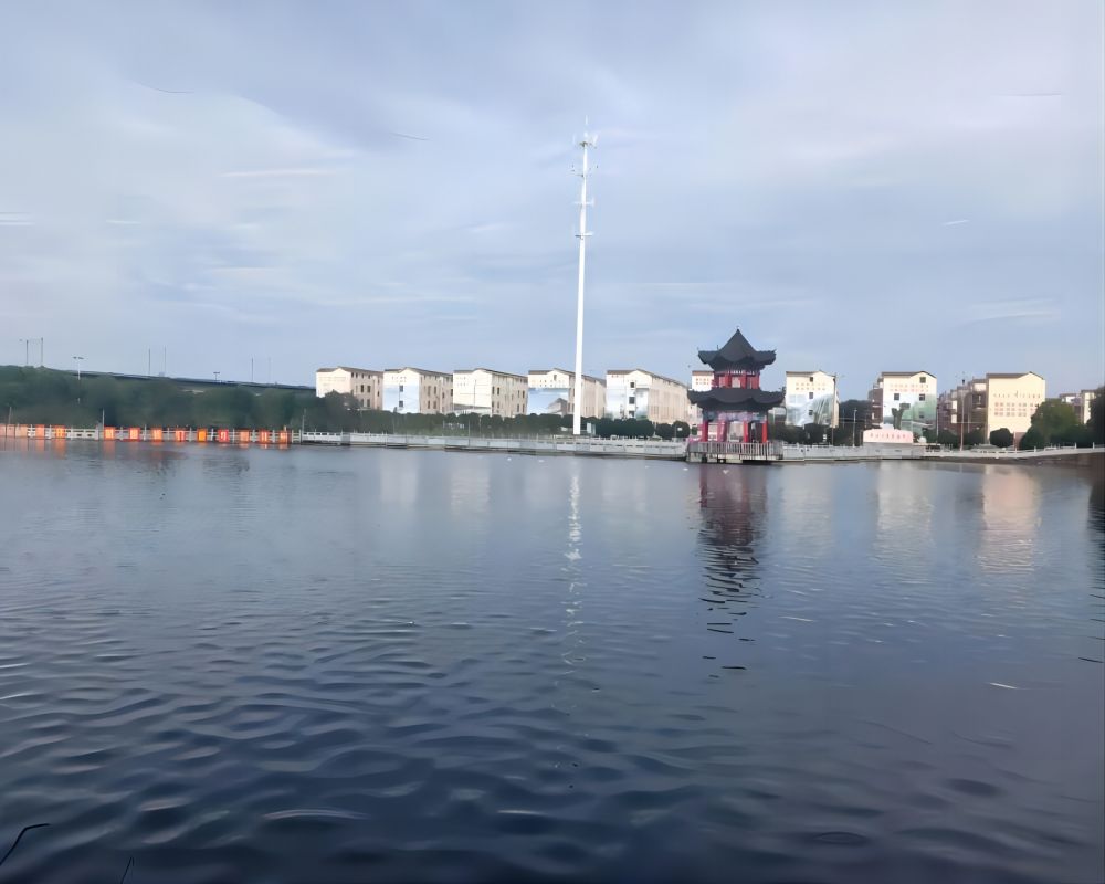ѧ磺η