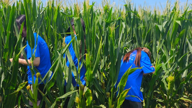 ������ѧ�빤��ѧԺ������������ʵ�����������ʵ�ص������ﳤ��