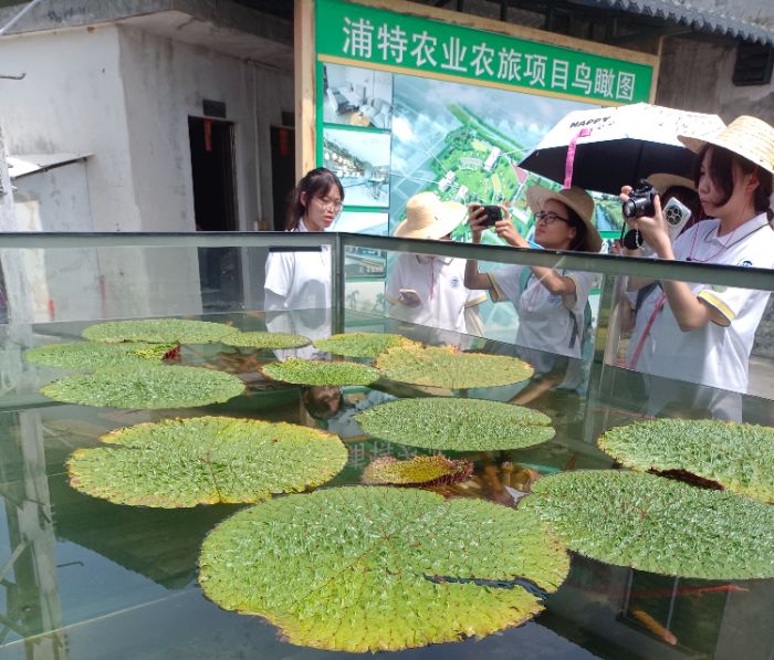 ����ѧԺѧ������ũҵ�У������ҵ��ũ·���ഺ����������