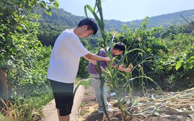 ����־�������䣬�ഺ����ů����