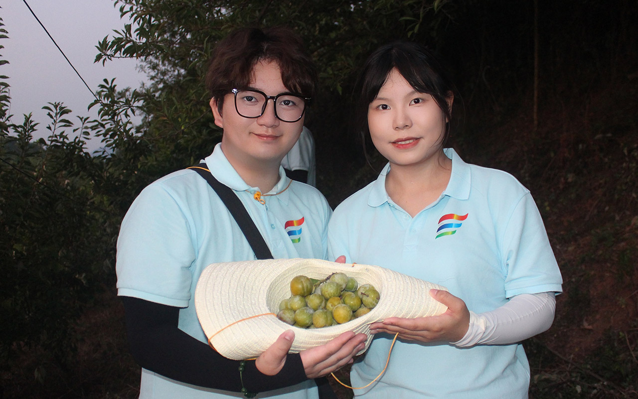 �����С�δ�����������