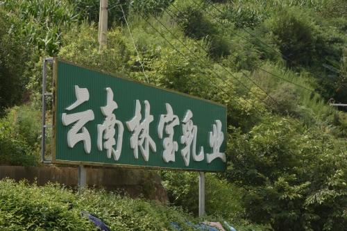 ꣬ȺЦ