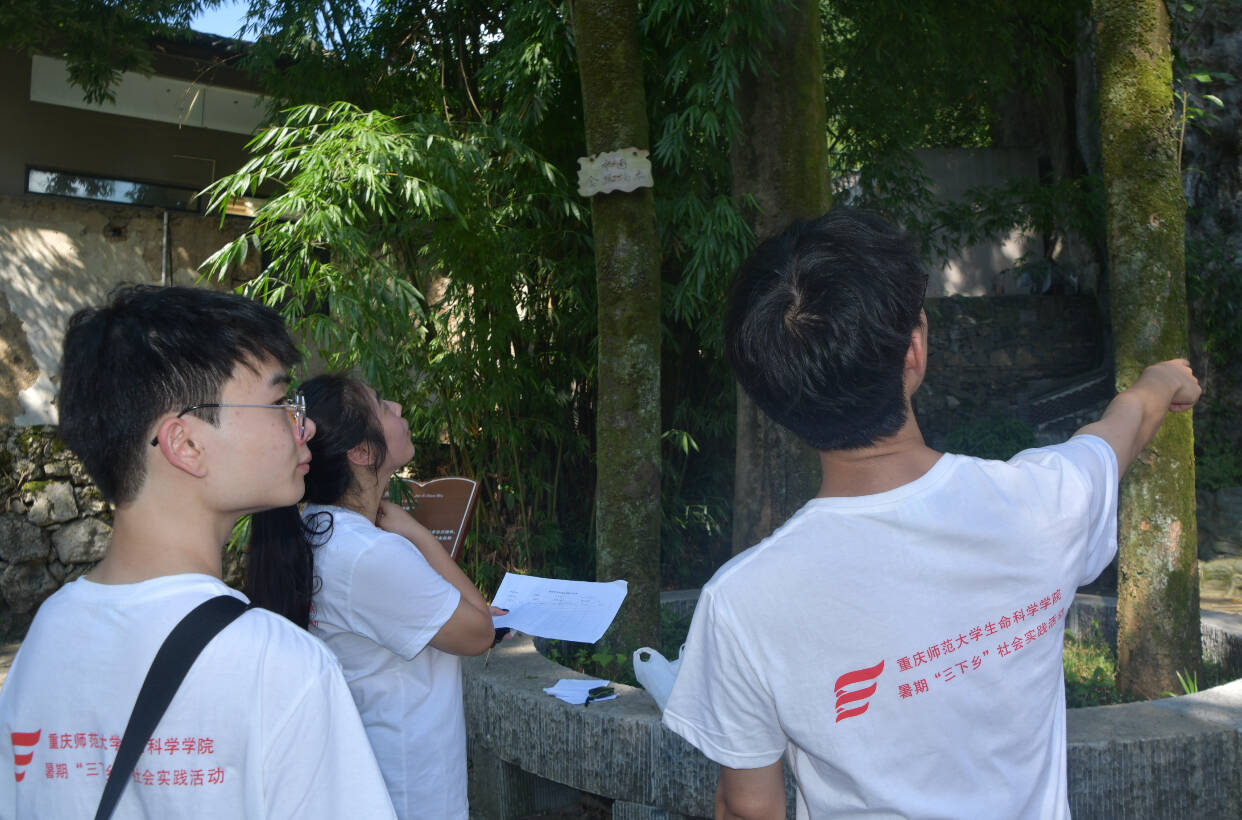 ���������£��ഺ�����֡�����ʦѧ�Ӻμ��Ҵ����������