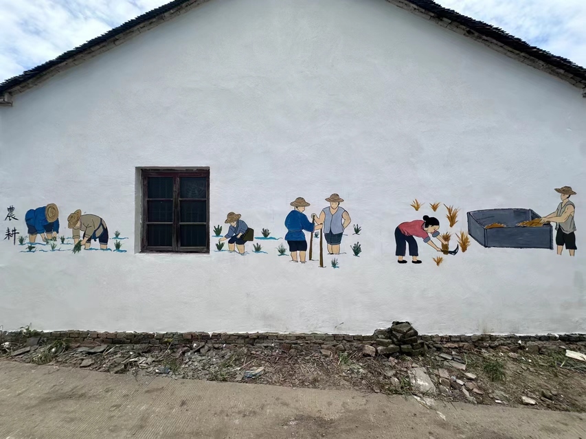 ����ѧԺ��ʦ����ѧԺ"�������ǽ����������ͼ���Ŷ�����ǽ�桪����ũΪ������������