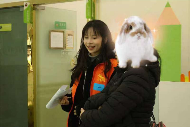 Թ£ɫʻ飺Сж־ԸŶӿչ