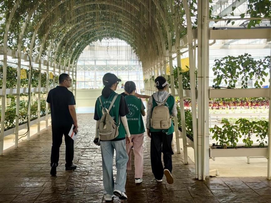 ̽·���������������ֶ�����ũó