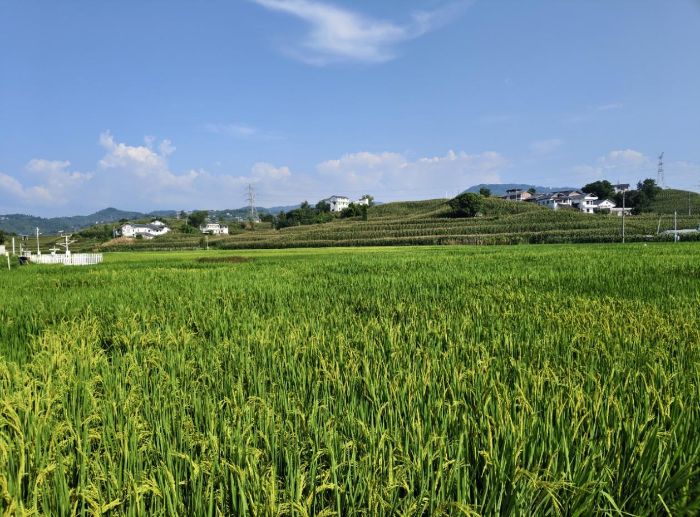 �������ĿƼ�ѧԺ������̽�ʡ�ʵ���ŵ��ж��ɴ����÷�չ�������Ļ���������