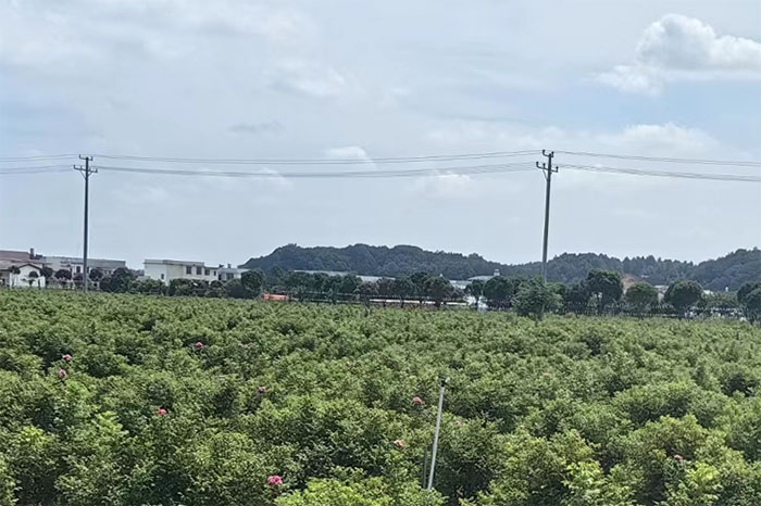 ഺʵꡱϴѧ磺ͬ