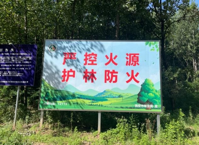 þ飬ֳ̬
