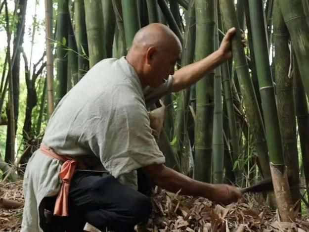 �ɶ�����ѧԺ�������鶹�ˮ����ͯ�Ĺ���������